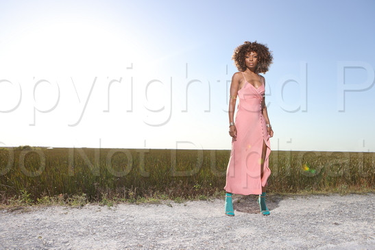 2022-03-26 Kaye Cox Everglades Pink Dress